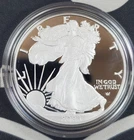 2023-W US Proof Silver Eagle - 1 oz .999 Fine Silver Coin OGP & COA