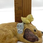 Bild 5 von 5