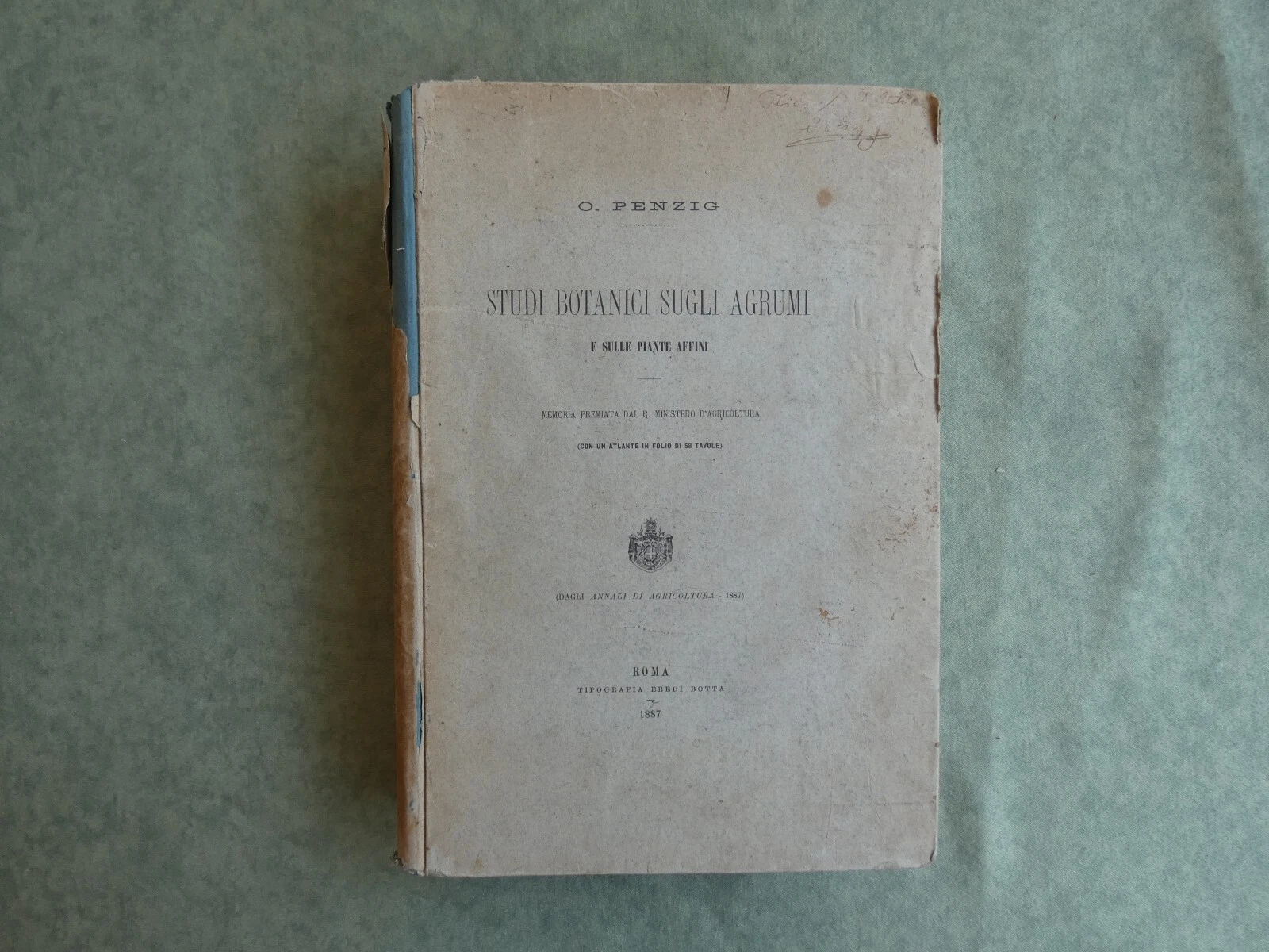 Foto 1 di 10