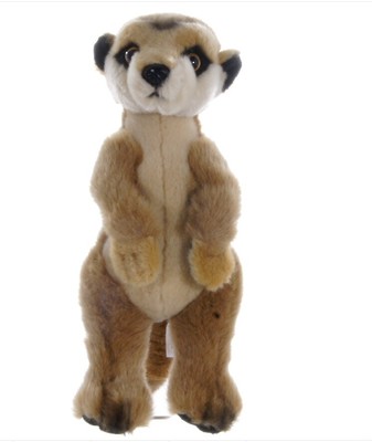 meerkat teddy