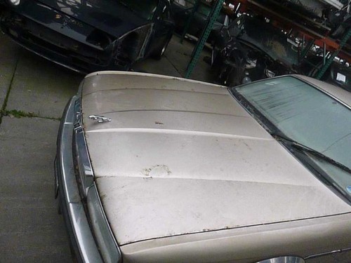 1994 Horn JAGUAR XJ6 58028 - Picture 11 of 12