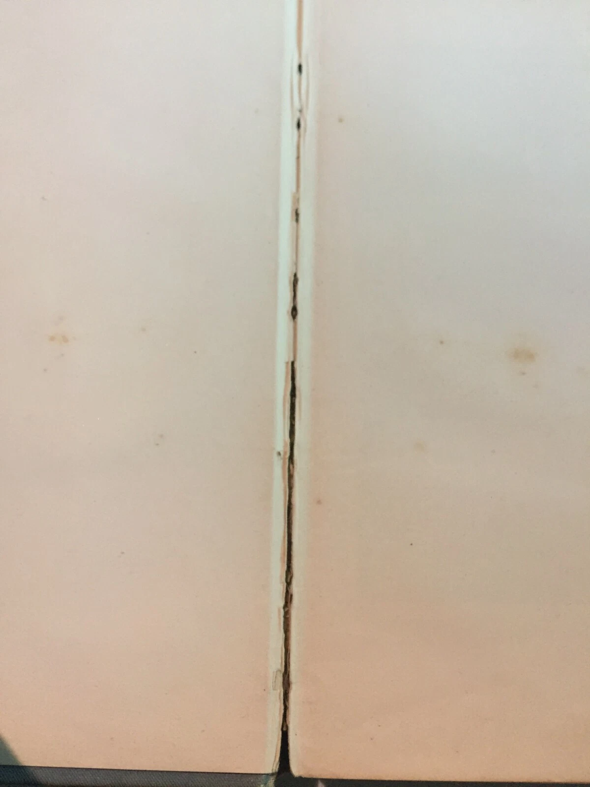 Picture 4 of 6