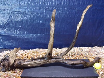 XX-Large Driftwood Mounted on Slate 18''x28''x08'' Aquarium Reptile Natural Art