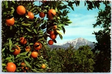 Oranges and Snow - Lofty Snow-Capped Mountains - Warm Foothill Valleys - USA