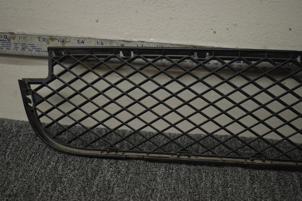 BMW X3 2007-2011 parrilla inferior delantera OEM de fábrica Foto 2 de 4