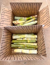 organic sugar cane grown in California 5-7 segments per order 5lbs