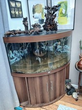 Juwel Trigon 350 Aquarium and Cabinet. LED. Complete set ready to use