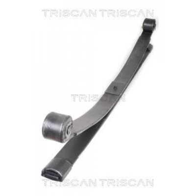Federnpaket TRISCAN 876516036 Hinterachse für Ford