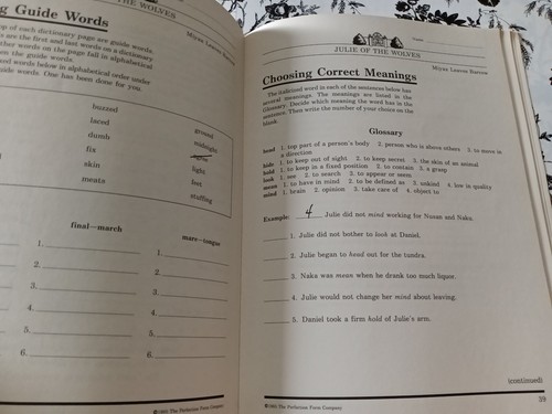 Julie the Wolves Literature Study Guide & Book Lot Homeschool Teacher Resource - Picture 7 of 14