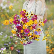 Midwest Wildflower Mixed Seeds for Planting, 1 lb, 480,000+ Seeds with Cornfl...