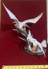 MASSIVE LLADRO #1456