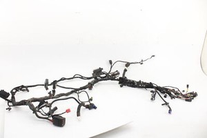 2021-2024 Harley Davidson Fat Boy Heritage Street Bob Main Wiring Harness ABS