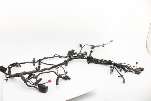 2021-2024 Harley Davidson Fat Boy Heritage Street Bob Main Wiring Harness ABS