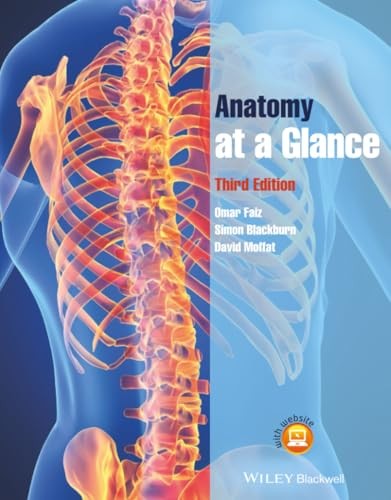 Anatomy at a Glance-Omar Faiz,Simon Blackburn,David Moffat - Image 6
