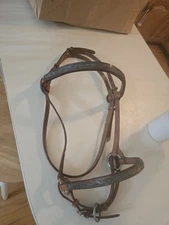 Leather Horse Bridle Show Halter With silver rosettes and headband & noseband 