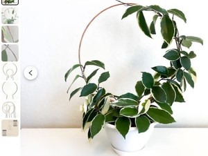  Copper Trellis for Small Medium Large Plants, Plant Trel