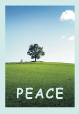 PEACE Bible Gospel Tract Christian Leaflets Evangelism Victory B573