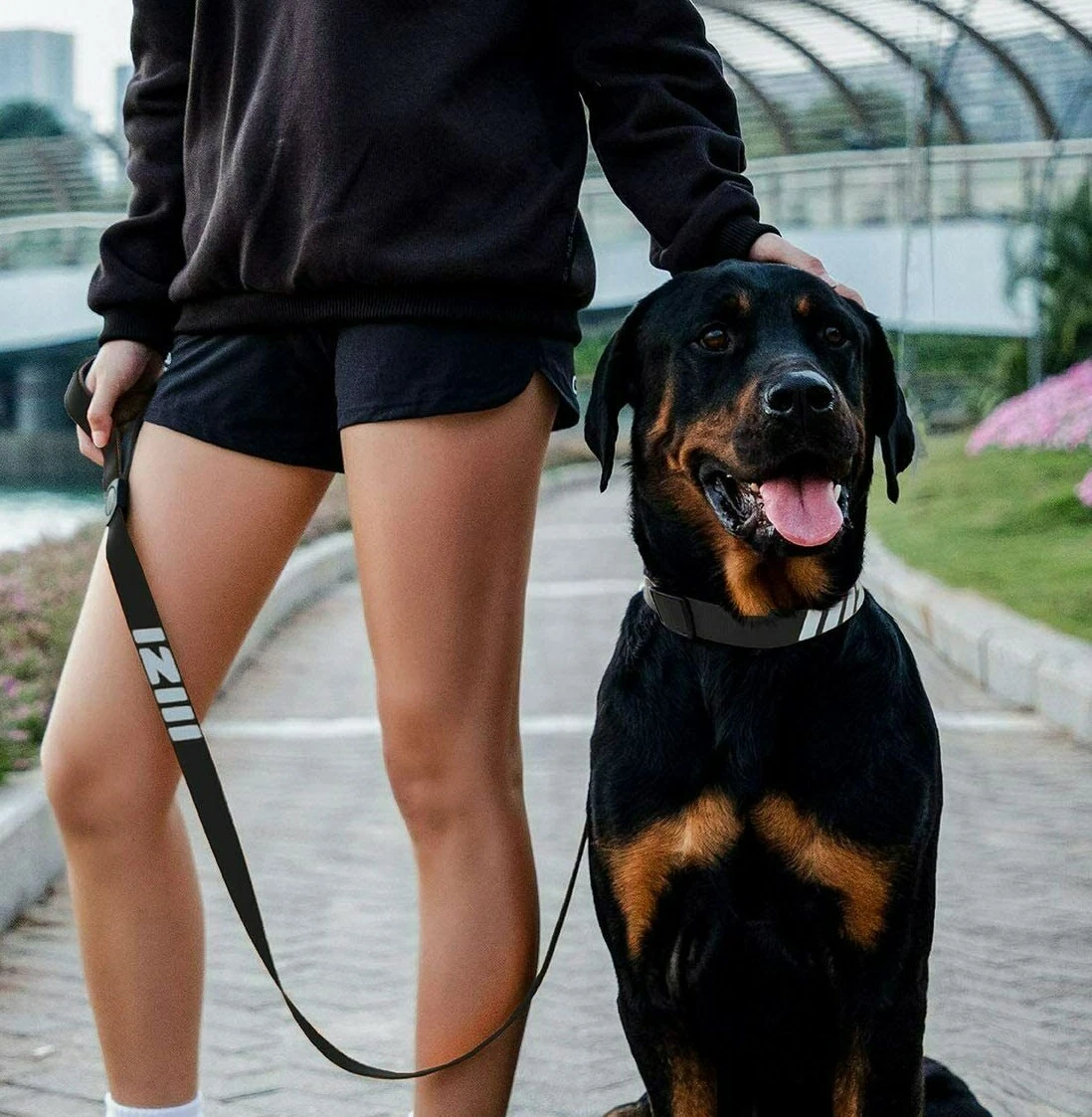 Best 4 hotsell foot dog leash