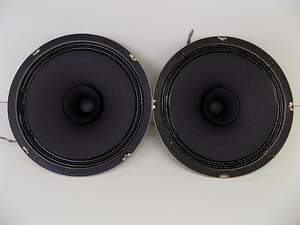 15 inch speaker cone