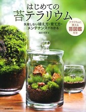 My first moss terrarium