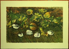 Giancarlo Cazzaniga litografia  Castagne 50x35 firmata numerata La Spirale