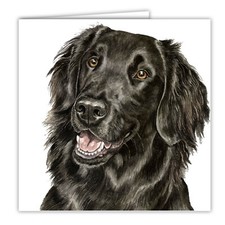 Flat-coated Retriever greetings card dog blank flat coat Flat coated Retrievers
