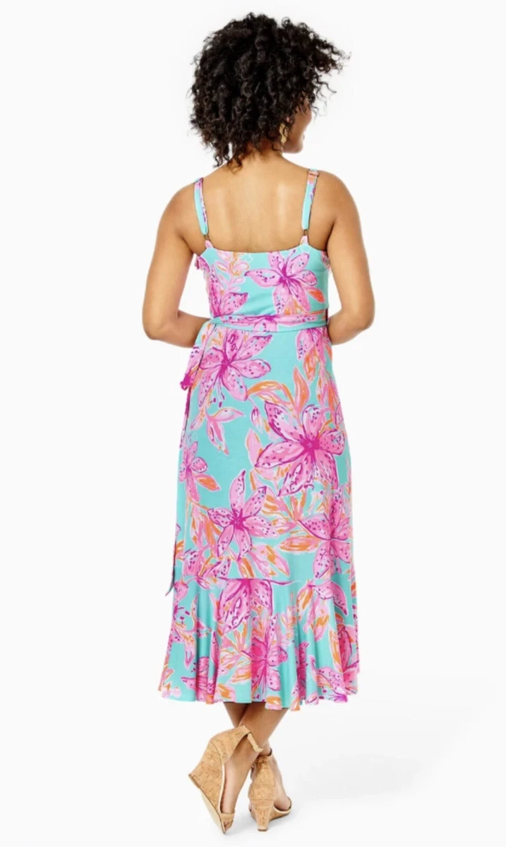 Lilly pulitzer fontaine dress sale