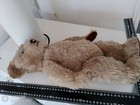 Foto 11 di 24