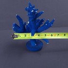 Foto 8 di 8