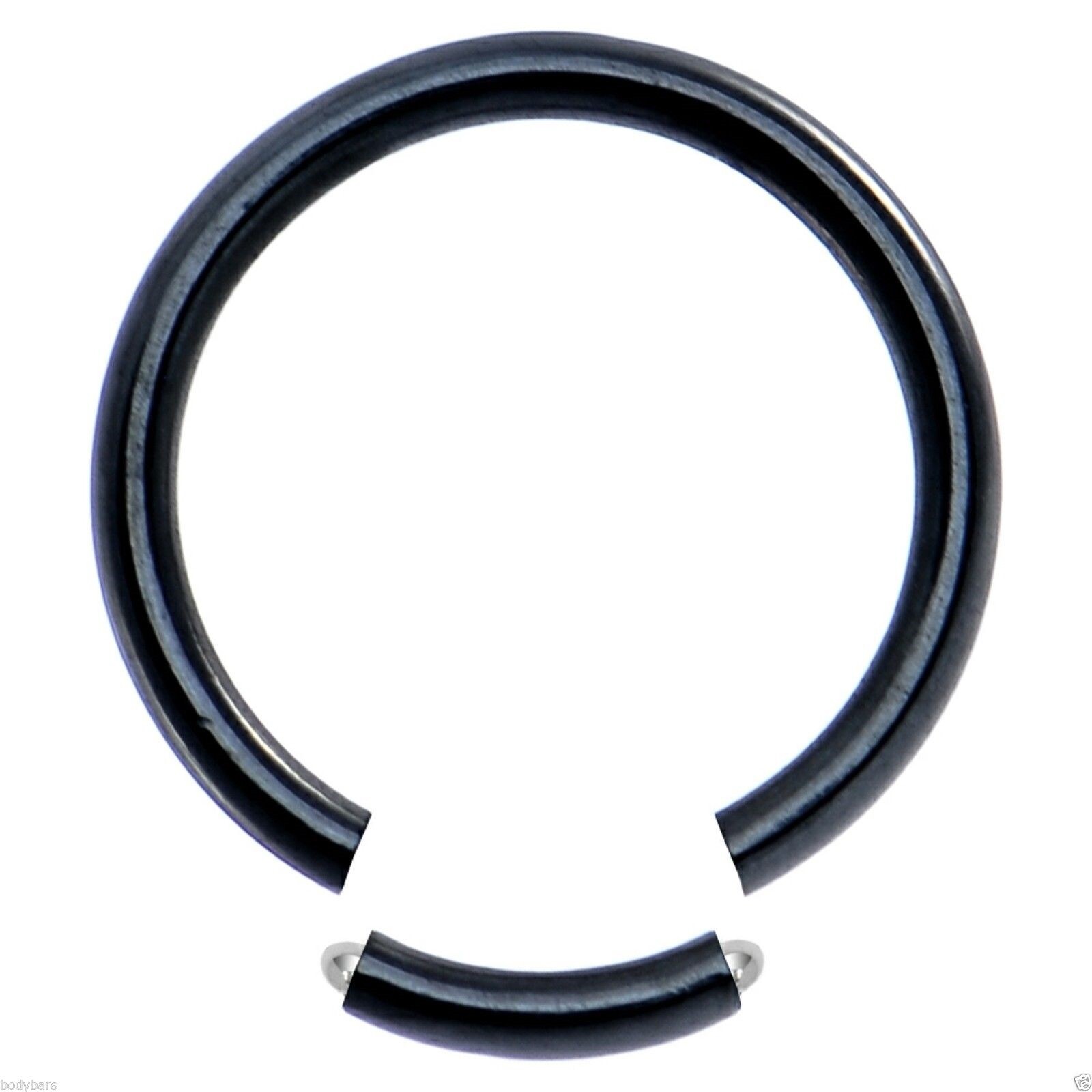 Eyebrow Ring Black Segment Captive Ear Rook Lip Tragus Helix Daith 16g 8mm