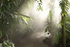 7x5ft Sunshine Tropical Jungle Forest Palm Trees Vinyl Backdrop Photo Background