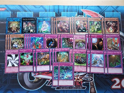 Yugioh Traptrix Deck - Traptrix Sera Myrmeleo Floodgate Trap Hole | eBay