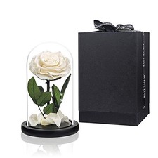 Preserved Flowers Roses in Glass Dome, Preserved Rose Never Medium White