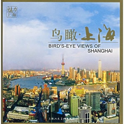 Bird's Eye View of Shanghai By Li Xin
