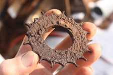 Altes Zahnrad Eisen rostig Bodenfund Wald Strausberg Industrie Deko Vintage