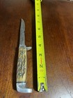 Vtg Case XX USA 5 Finn Fixed Blade Hunting/Fishing Knife. Stag handle No sheath  — photo 10