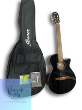 Ibanez AEG50N Acoustic-Electric Classica