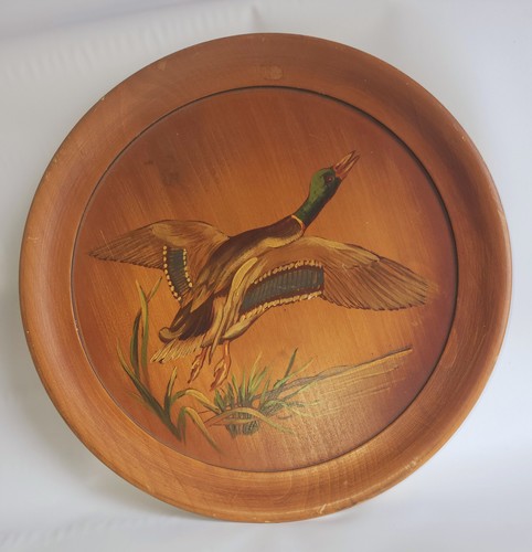 Rare Painted Duck Decorative ROBINHOOD WARE plate 12" - Picture 1 of 5