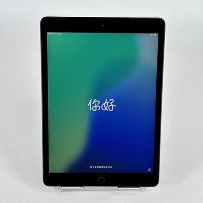 Apple iPad 8 Silver 32GB ATT - Good w/ White Spots