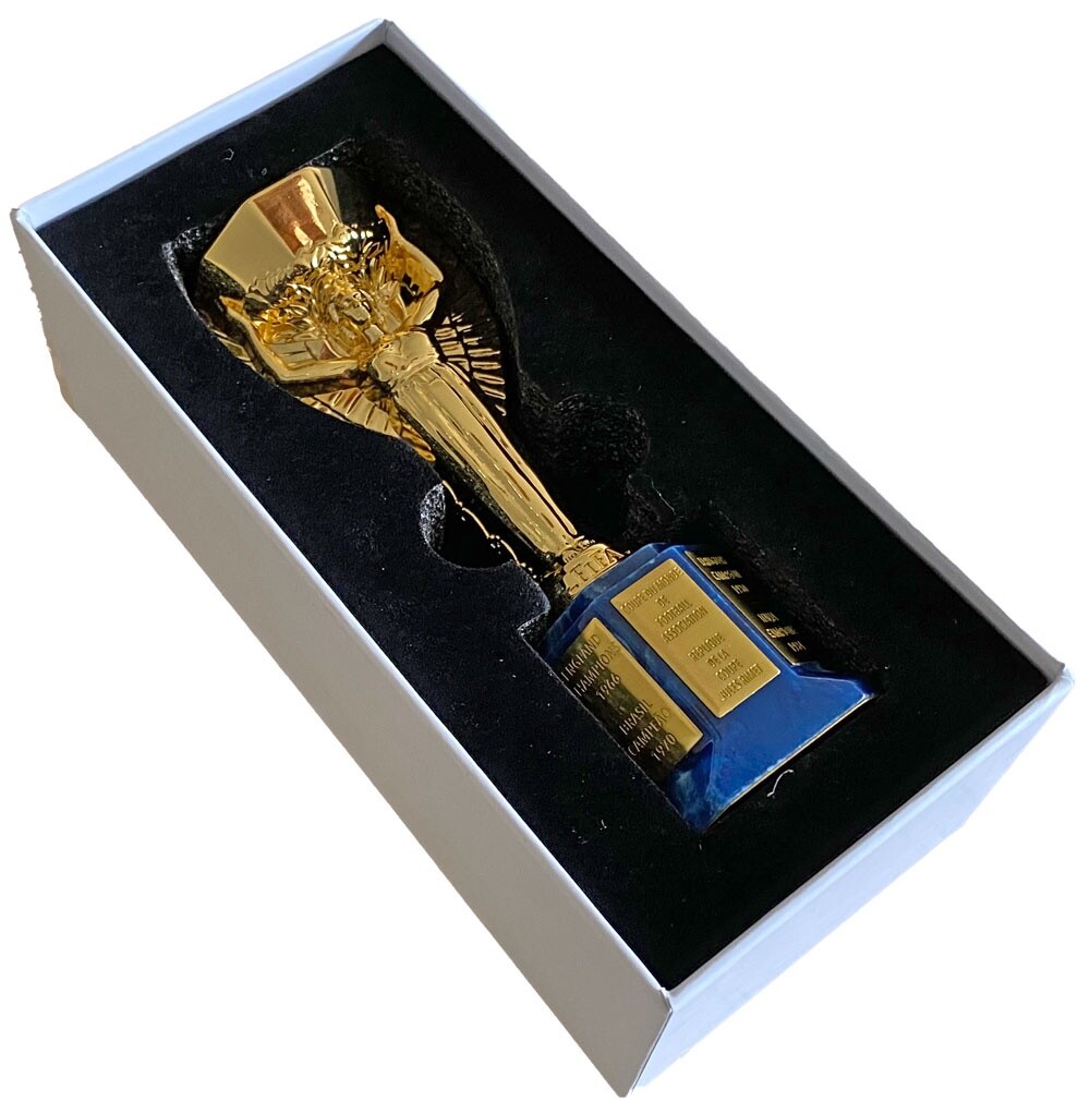 Le Trophée Jules Rimet et la mascotte de la coupe du monde sont placés