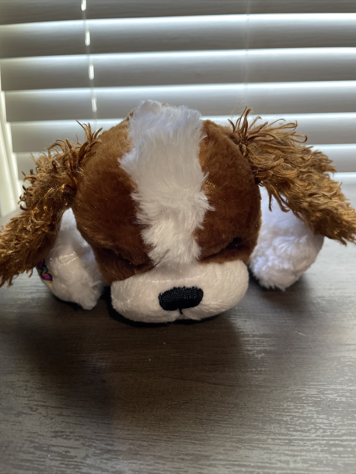 king charles spaniel webkinz