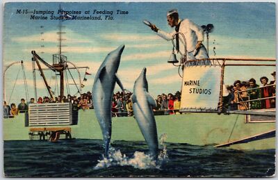 1954 Jumping Porpoises Feeding Marine Studios Marineland Florida Posted Postcard