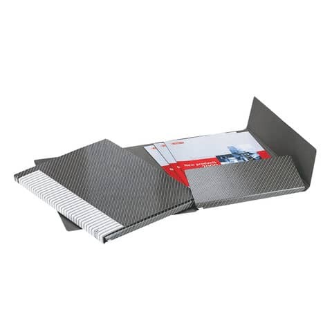 Gruppo di Cartelle Delso Line Esselte - 25x32 cm - 390954040 (Bianco e Grigio Co - Immagine 4
