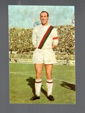 figurina CALCIATORI PATUZZI 1965/66 ORIGINALE REC - BOLOGNA PASCUTTI