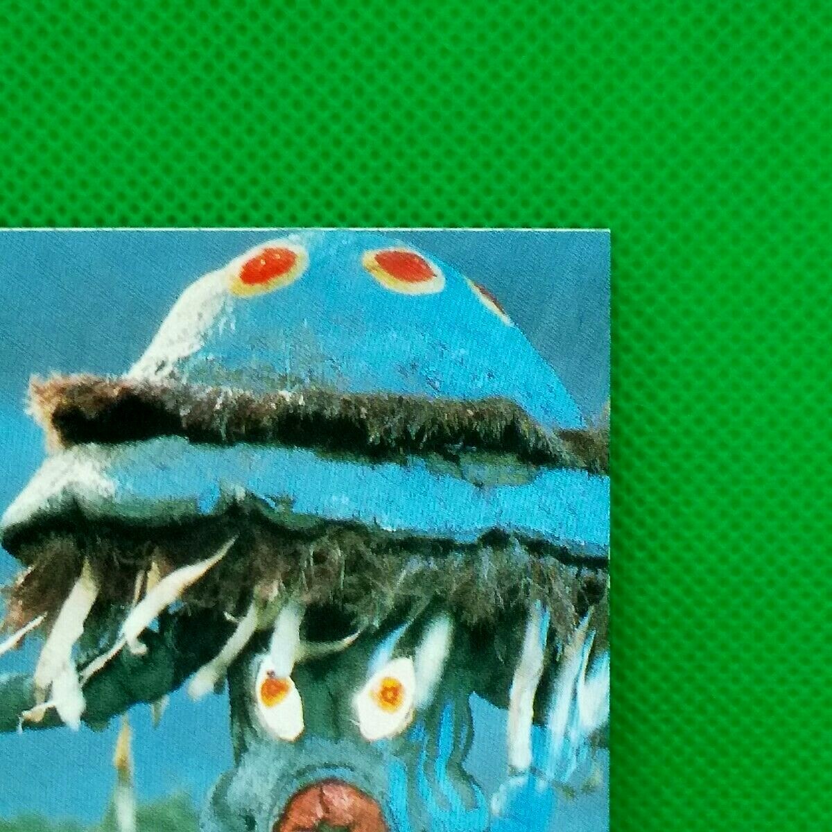 Picture 5 of 10