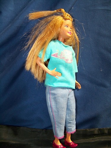 2011 Barbie Friend Indonesia Braided Hair - EUC - Picture 4 of 5