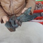 Foto 8 di 12
