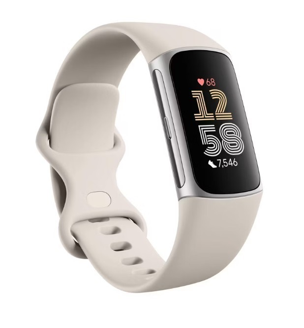 Fitbit Charge 6 GA05185-NA Silver Fitness Tracker – Tested & Working Great