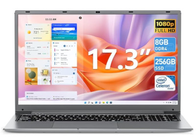 New 17.3 Inch Laptop Computer, Gray, 8GB RAM, 256 GB SSD, Dual Core, 8000mAh