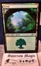 4x Forest FOIL - Mark Poole 'Shooting Star Land' - M-NM - Gift Pack 2017